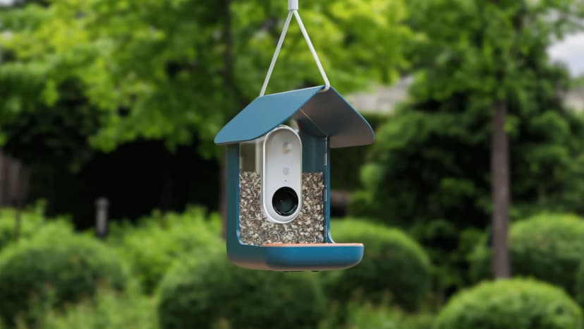 Bird Buddy’s New AI-Powered Garden Camera Lets You Watch Plants Grow and Bees Buzz in Stunning 4K